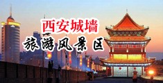 看日韩澡逼视频中国陕西-西安城墙旅游风景区